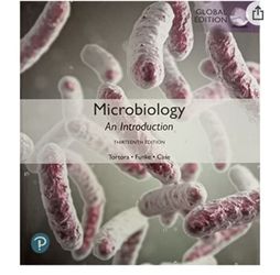 Microbiology an Introduction 
