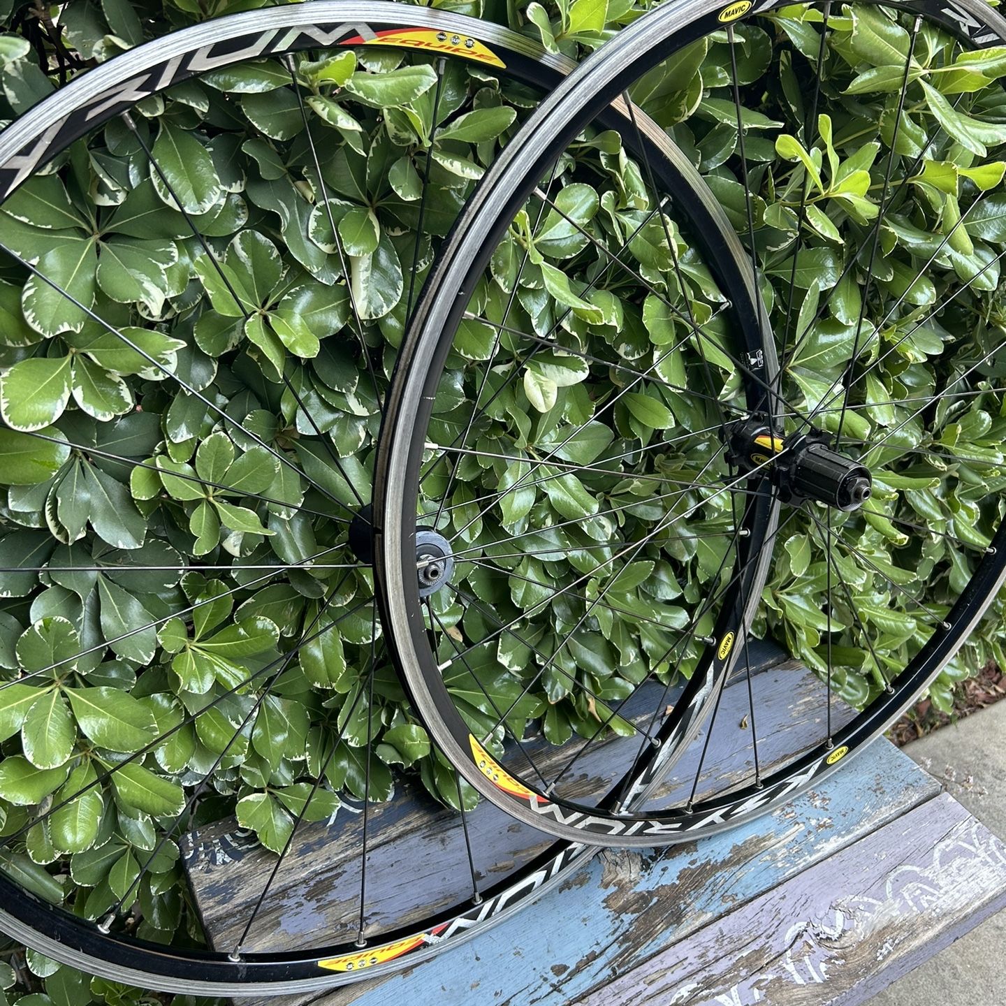 Kysrium Equipe Wheelset