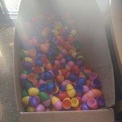 Free eggs - hundreds!