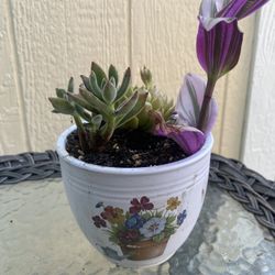 Teacher Appreciation Gifts