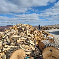 Firewood 