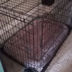 Large Dog Crate Plus Crate Bed All Brand New