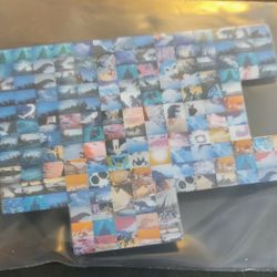 Disney Epcot Map Pin ( Hard To Find )