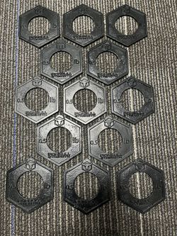 Micro 0.5 Pound Iron Bull Strength Weight Plates  Olympic Style 2”