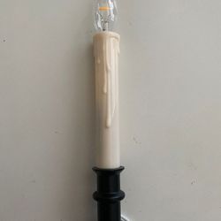 LED Holiday Lighting (Set of 4). Vanilla/Black