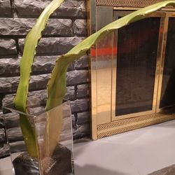 Pottery Barn Glass Vase With Artificial Plant