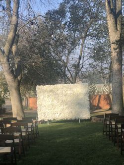 Flower Wall Backdrops 