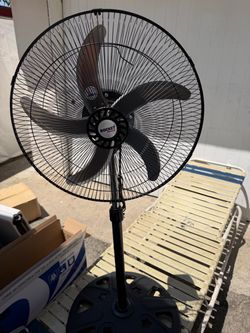Fan