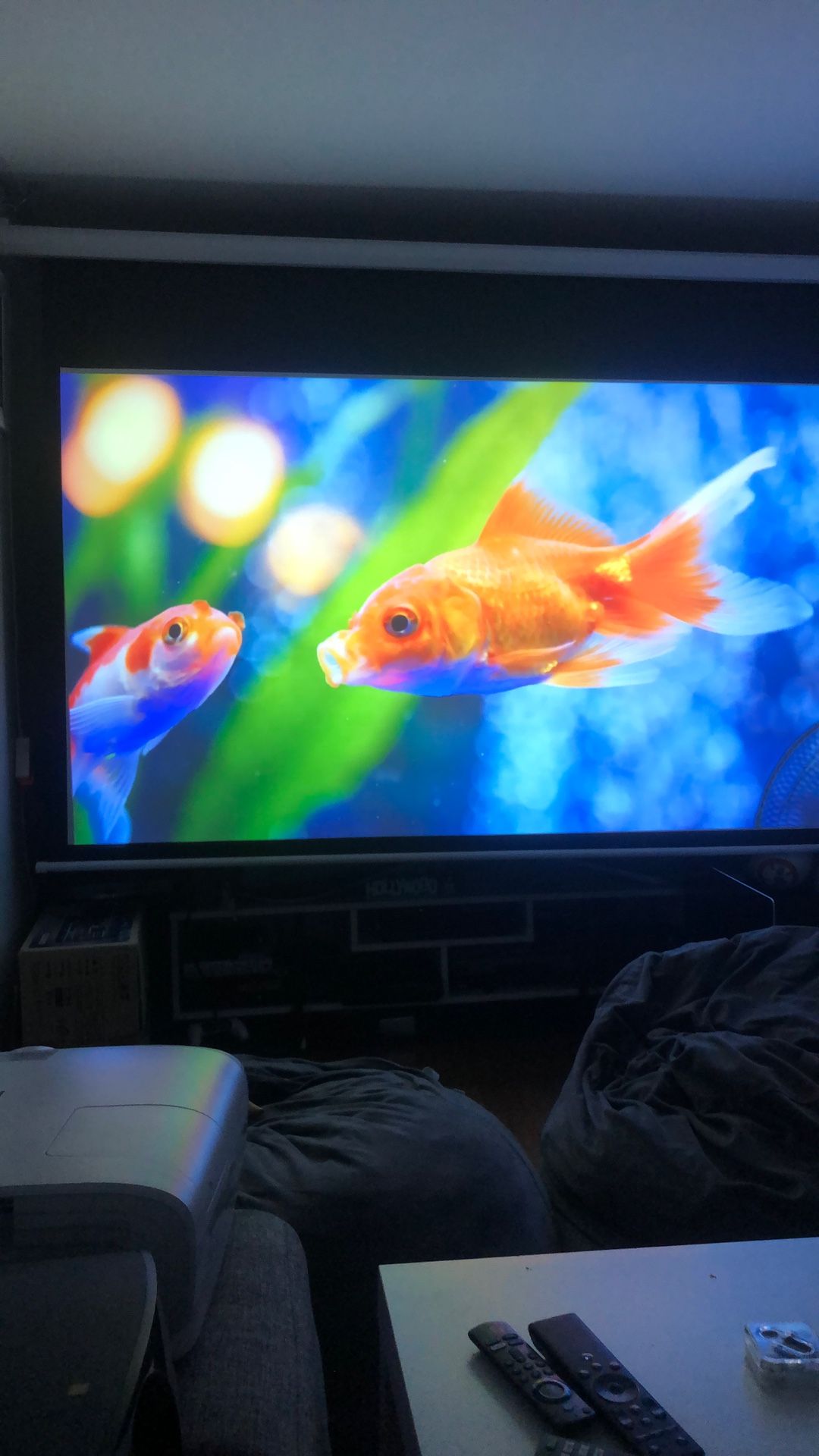 Epson 3 D Projector