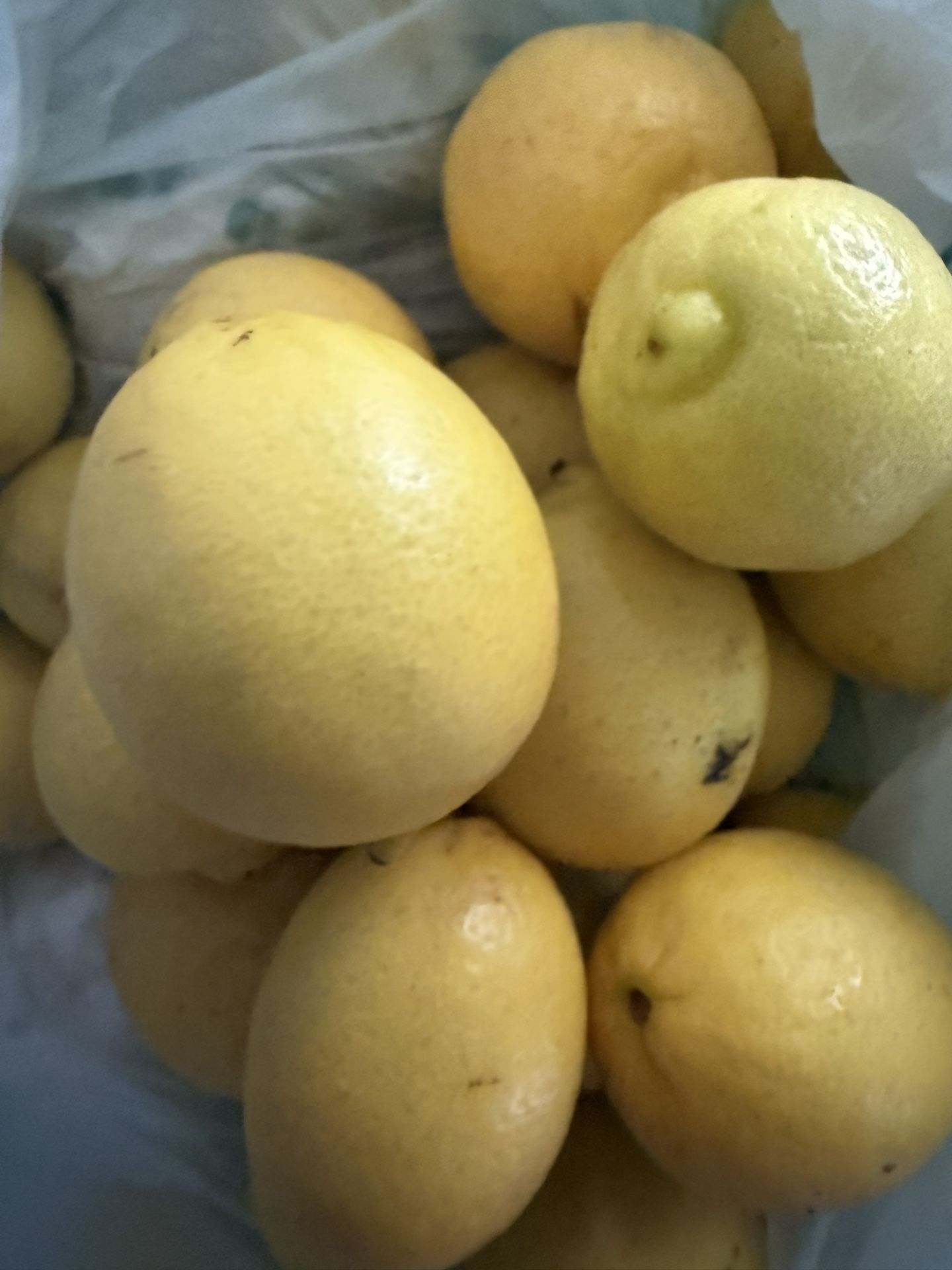 Lemons Organic
