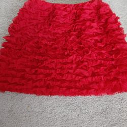 Skirt Size 4 