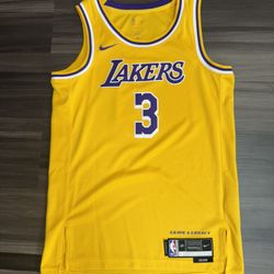 Nike Los Angeles Lakers Anthony Davis #3 Icon Edition Swingman Jersey Small 40  100% authentic. Lightly worn. 
