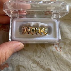 Bottom Gold Grills