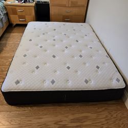 Queen Size Mattress