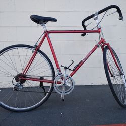 Nishiki Road Bike