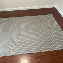 Almost New Area Rug 6x9