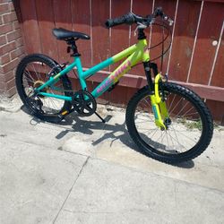 Nishiki Mountain Bike - (Kids Bike)