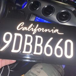 Vinyl Plate Wrap Special