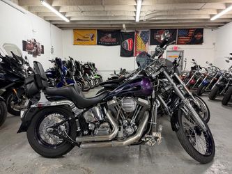 2015 Harley-Davidson “el bruto”