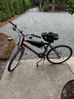 2 Raleigh bikes. 2 for $125 or $75 each.