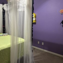 Veil -$5 Each For Canopy 