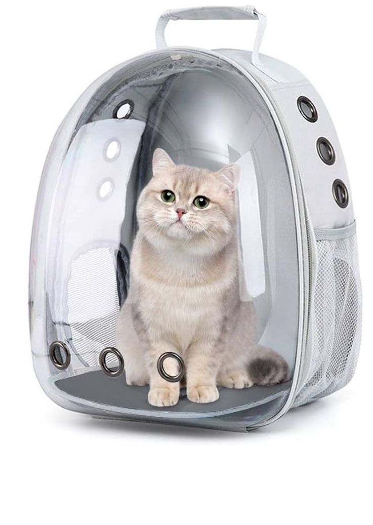 Clear Space Tunneling Cat Backpack