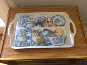 Tray with kittens