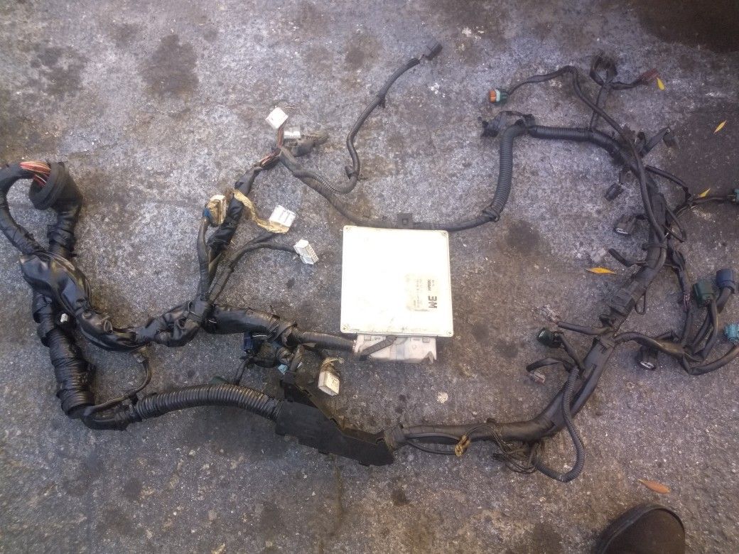 Computer wire harness .for maxima 03 .3.5 liter v-6.