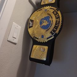 Wwe Title From Amazon