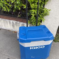 Igloo cooler