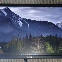 IPS Monitor (Dell P2314Ht 1920 × 1080)