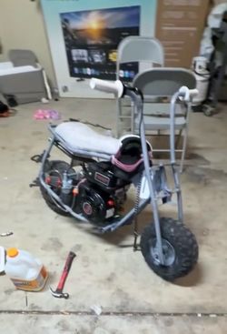 Doodle bug