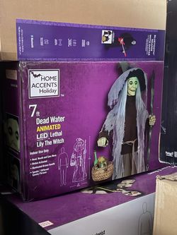 Home Accents Holiday 7ft Animated LED Witch