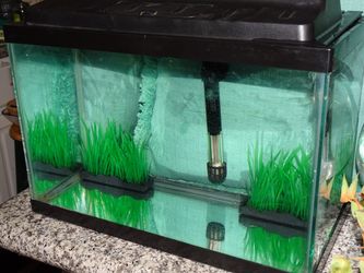 20 gal fish tank , filter