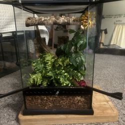 Crested Gecko Enclosure / Reptile Tank 