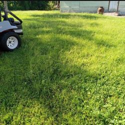 Lawn Patio 