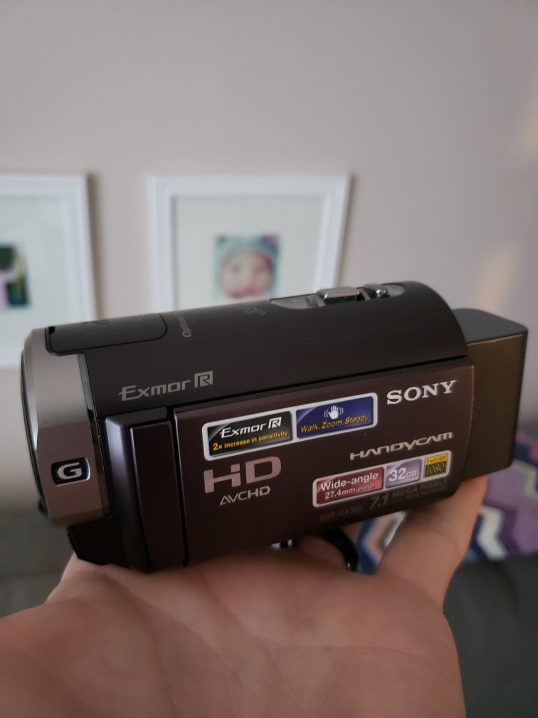 Sony HDR-CX350V Camcorder