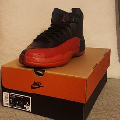 Jordan 12 Flu Game 