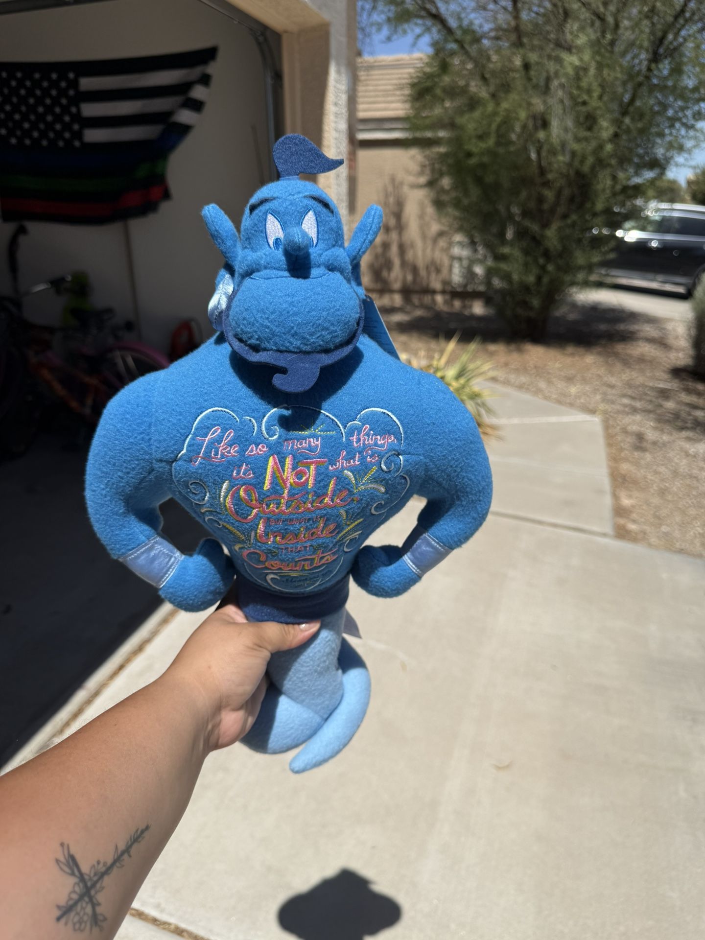 wisdom genie series