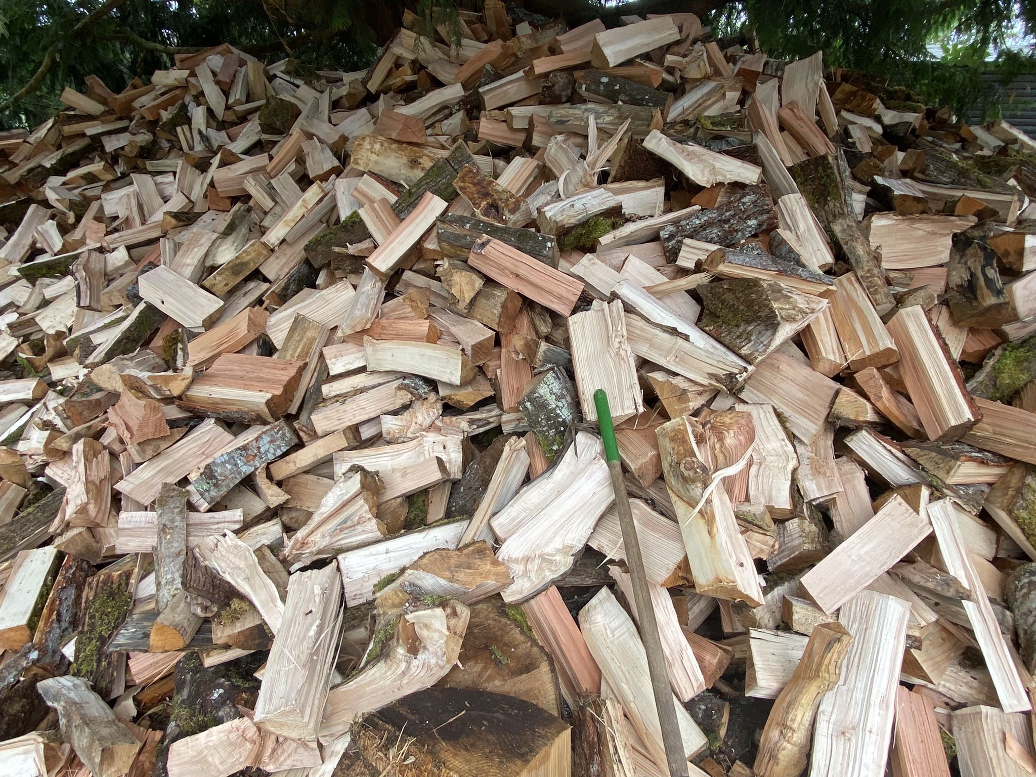Fir Firewood