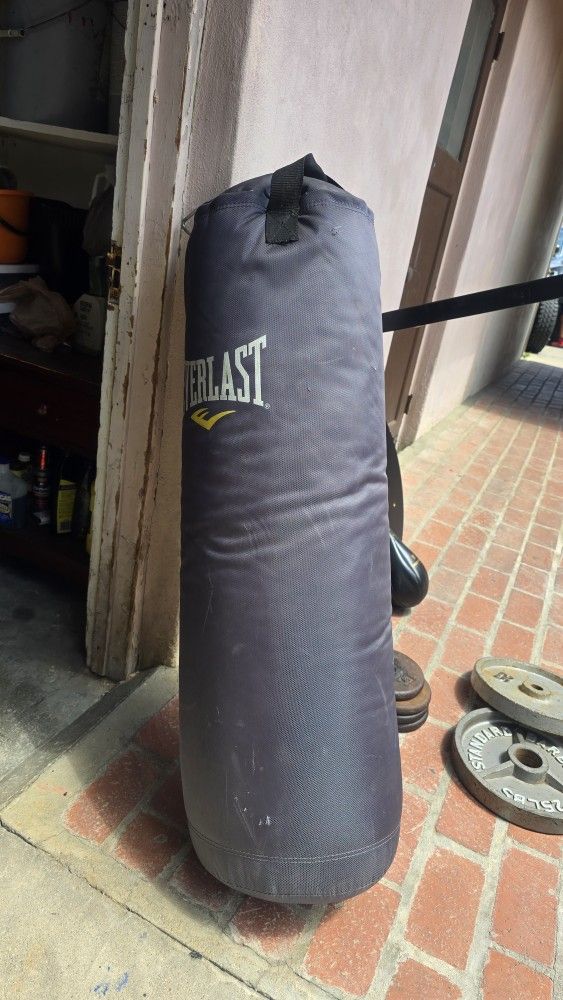 Everlast Punching Bag