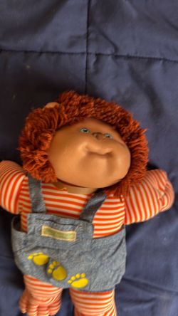 Koosas cabbage, patch, kid pet