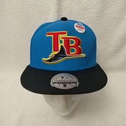 Tampa Bay Devil Rays Fitted Hat