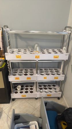 3-Tier Indoor Hydroponic Garden System with LED Grow Lights.