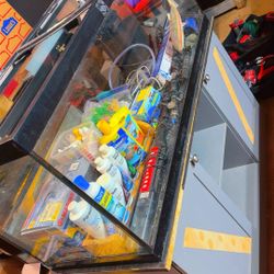 Aquarium/Fish Tank 