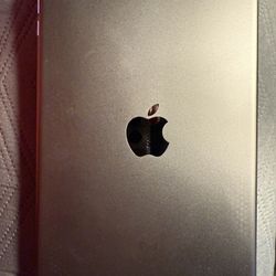 iPad Mini 5 - 256gb LTE /is Cellular