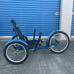 Blue Mobo Tricycle 