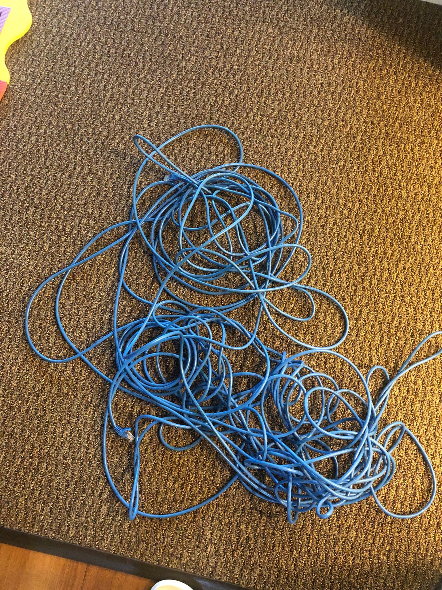 Long cable for sale