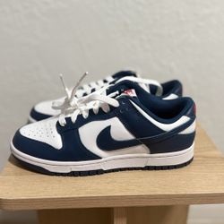 Nike Dunk Low