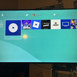 65 Inch Roku TV
